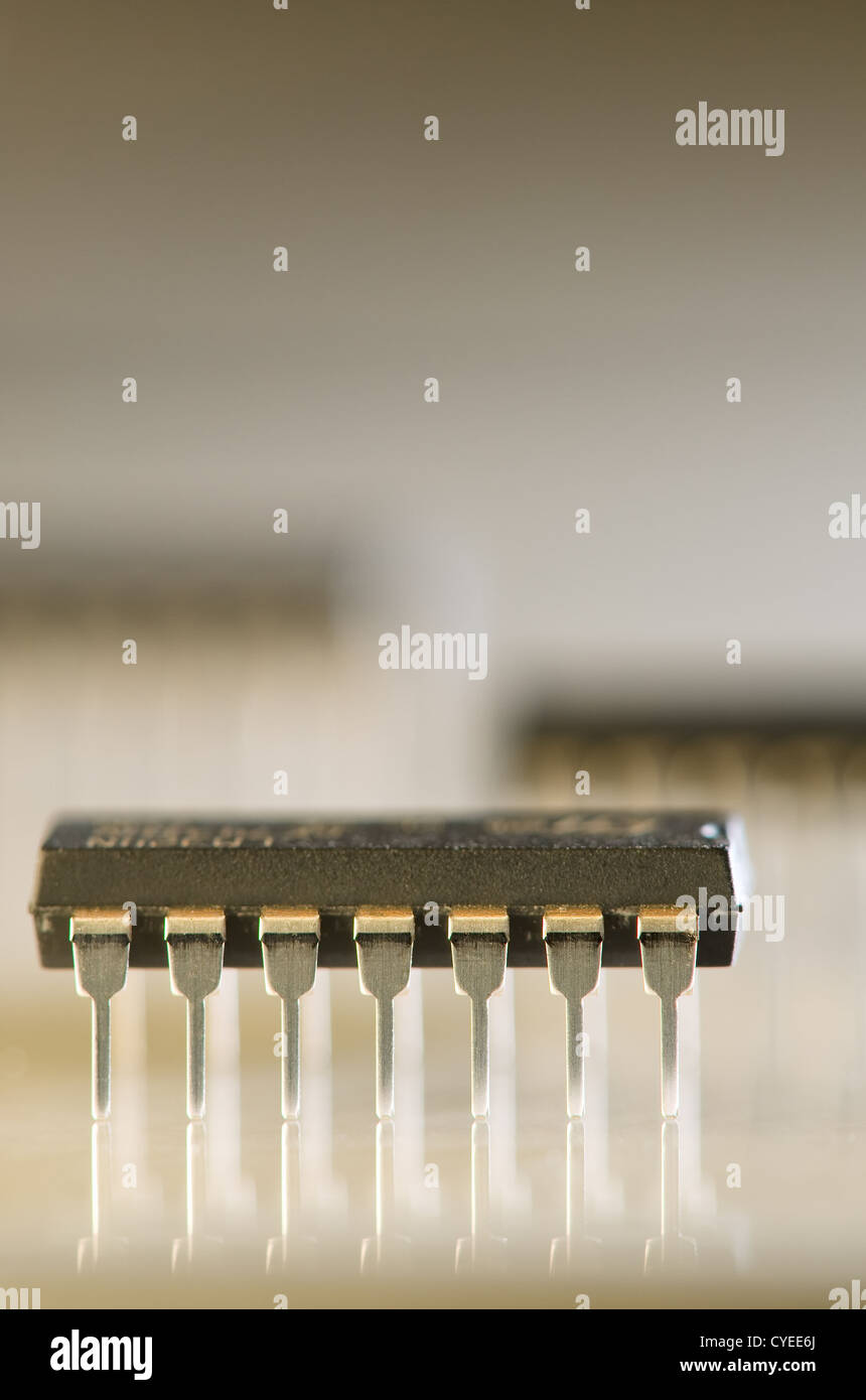 Makroaufnahme einer 14 Pin batteriegestützte Fall hautnah. Stockfoto