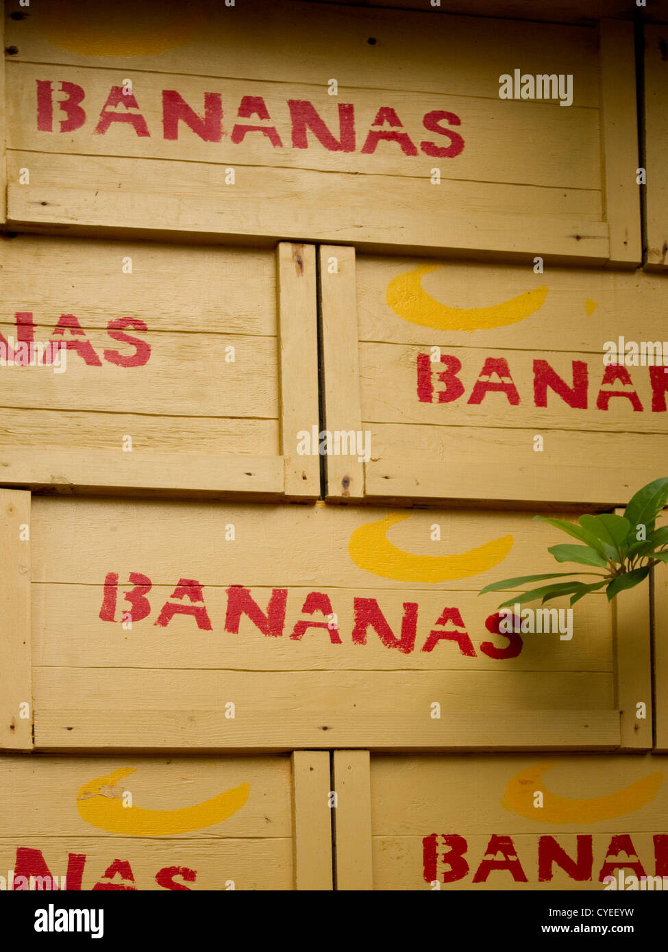 Bananenkisten Eimern. Stockfoto