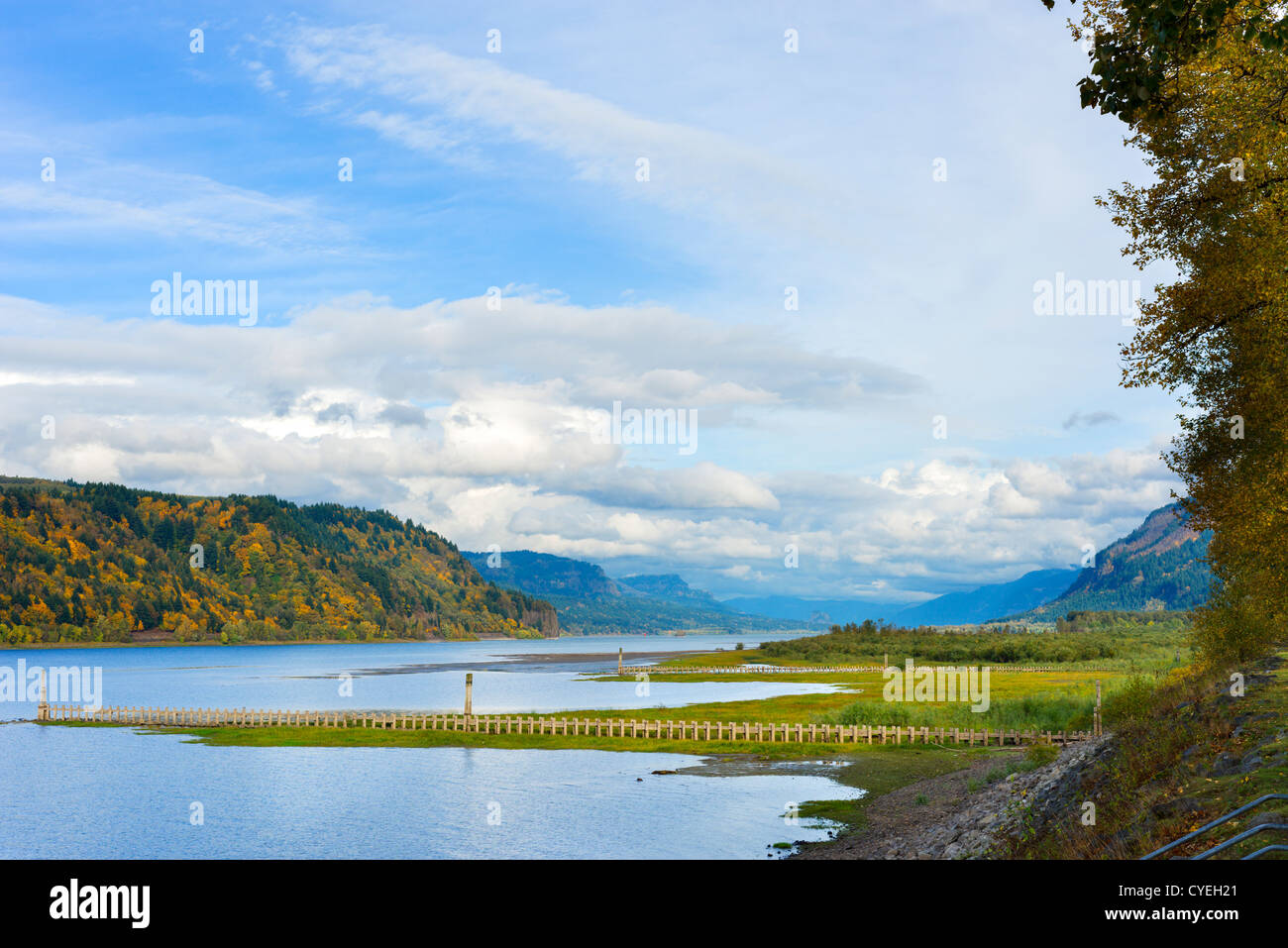 Columbia River vom Hahn Rock State Park, Columbia River Gorge, in der Nähe von Troutdale, Multnomah County, Oregon, USA Stockfoto