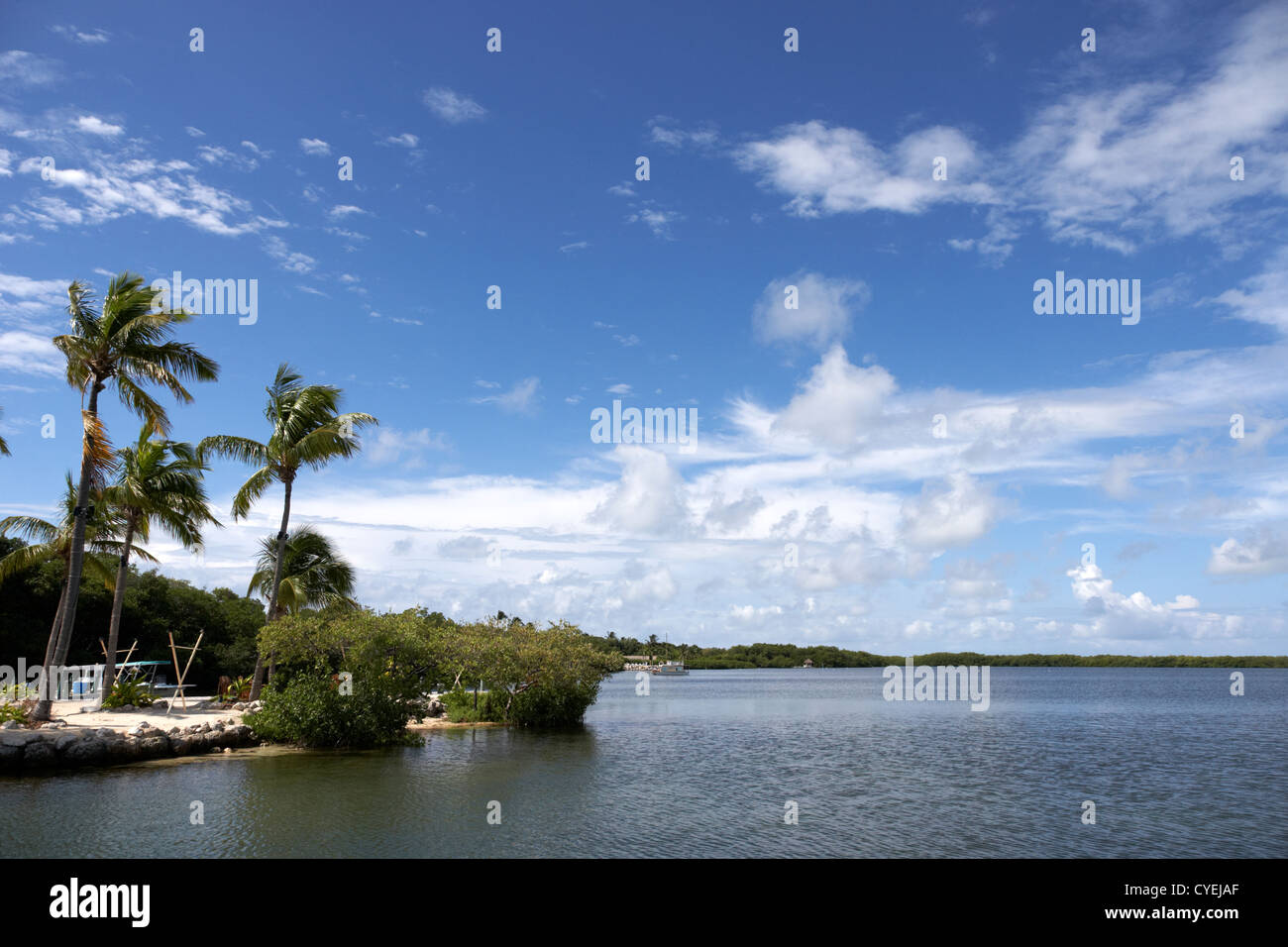 Küste und Blick auf die Küste Islamorada Florida Keys Usa Stockfoto