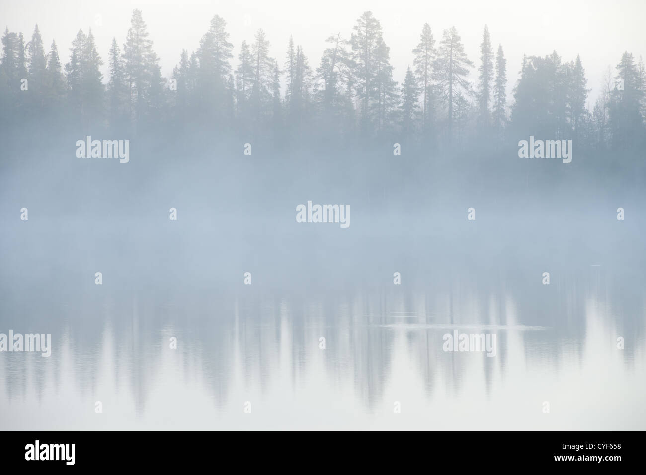 Nebel in den frühen Morgenstunden auf dem See. Stockfoto