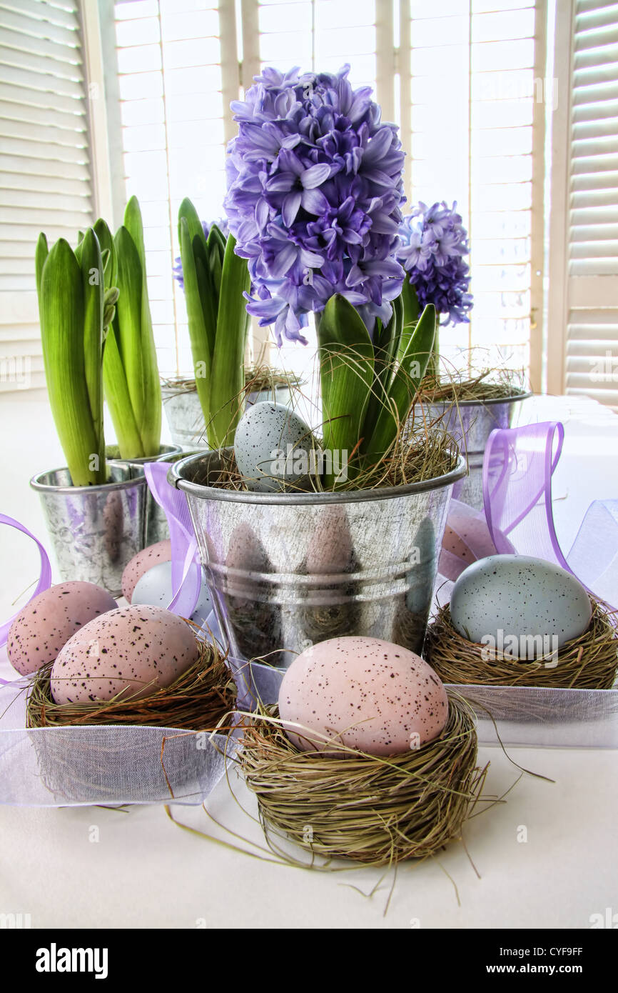Violetten Hyazinthen und Easter Eggs auf Tisch mit sonnigen Fenstern Stockfoto