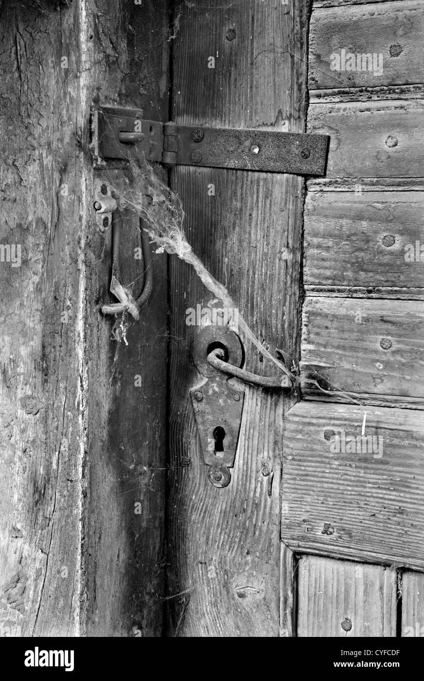 Detail von der alten Tür und Spinnennetz Stockfoto