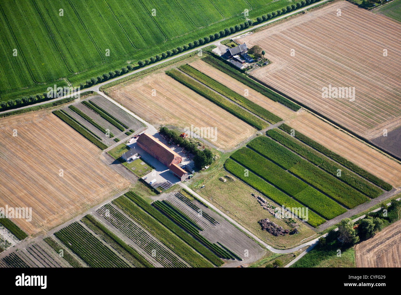 Den Niederlanden, verbessern, Landseite. Farmen und Ackerland. Luft. Stockfoto