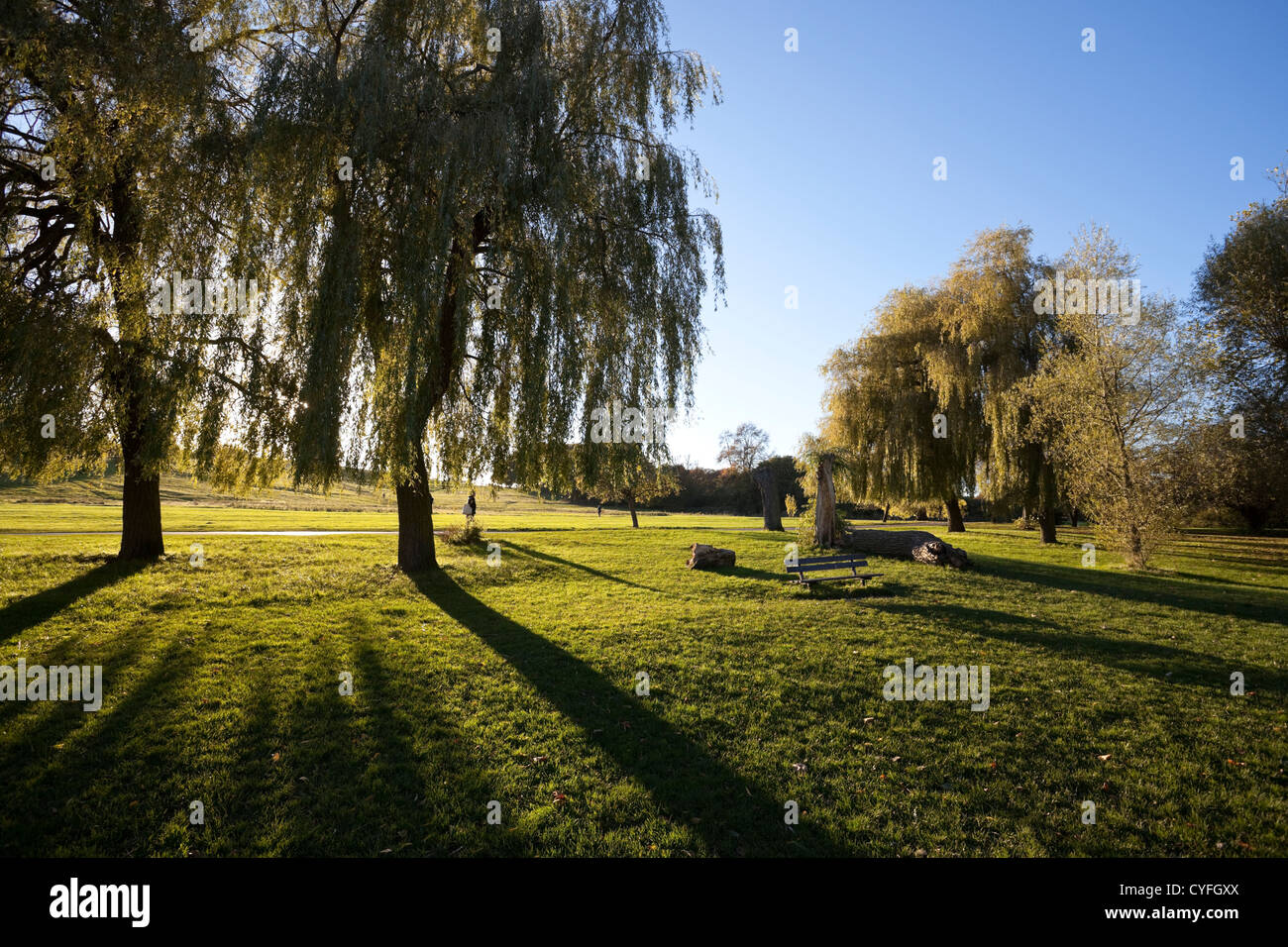 Hampstead Heide an einem sonnigen Herbstnachmittag, London, England, Großbritannien. Stockfoto
