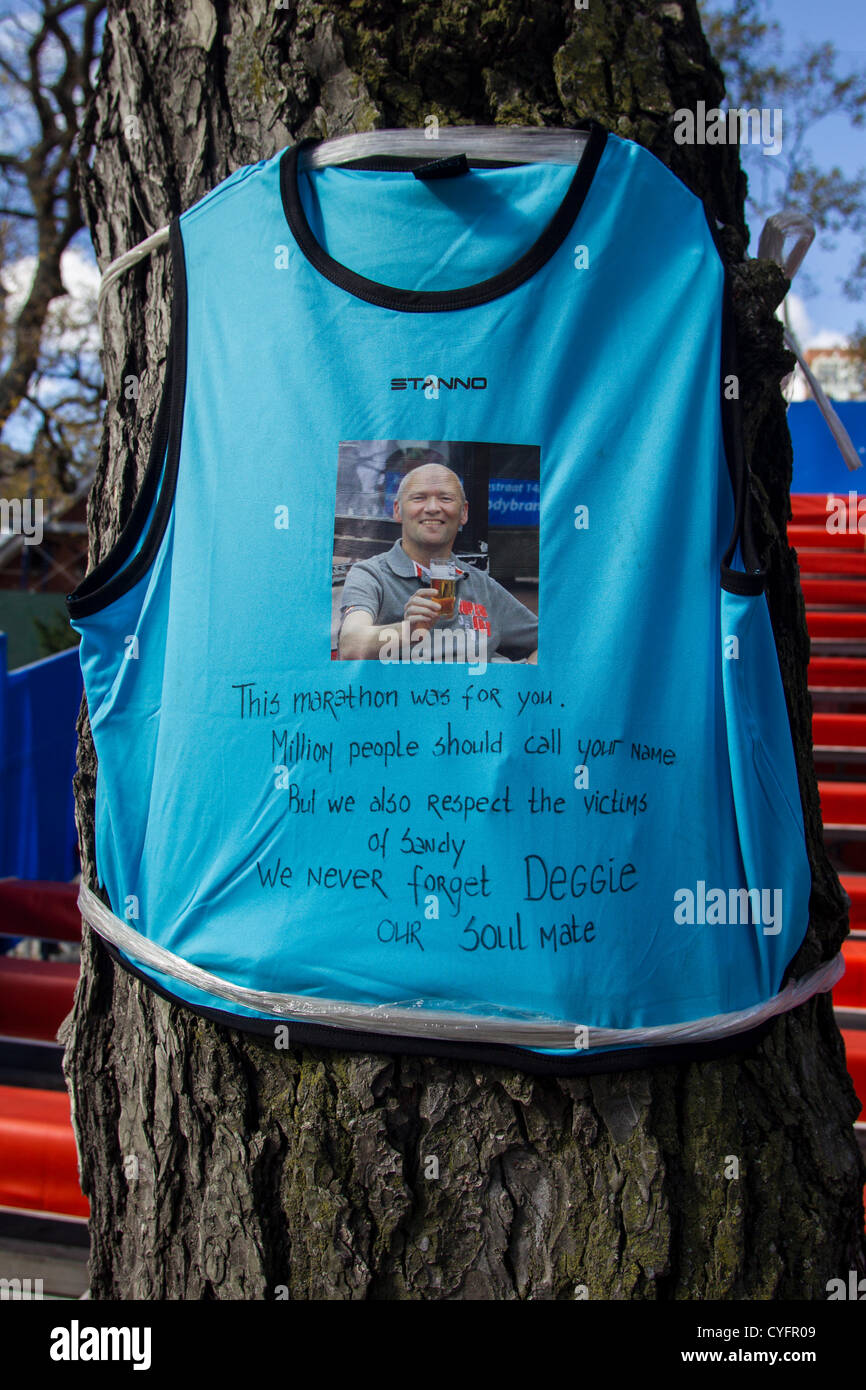 New York, USA. 3. November 2012. Singulett-Denkmal, angeschlossen an einen Baum in der Nähe der Ziellinie des 2012 NYC Marathon die abgebrochen wurde, nachdem Hurrikan Sandy Großraum New York getroffen. Bildnachweis: PCN Fotografie / Alamy Live News Stockfoto