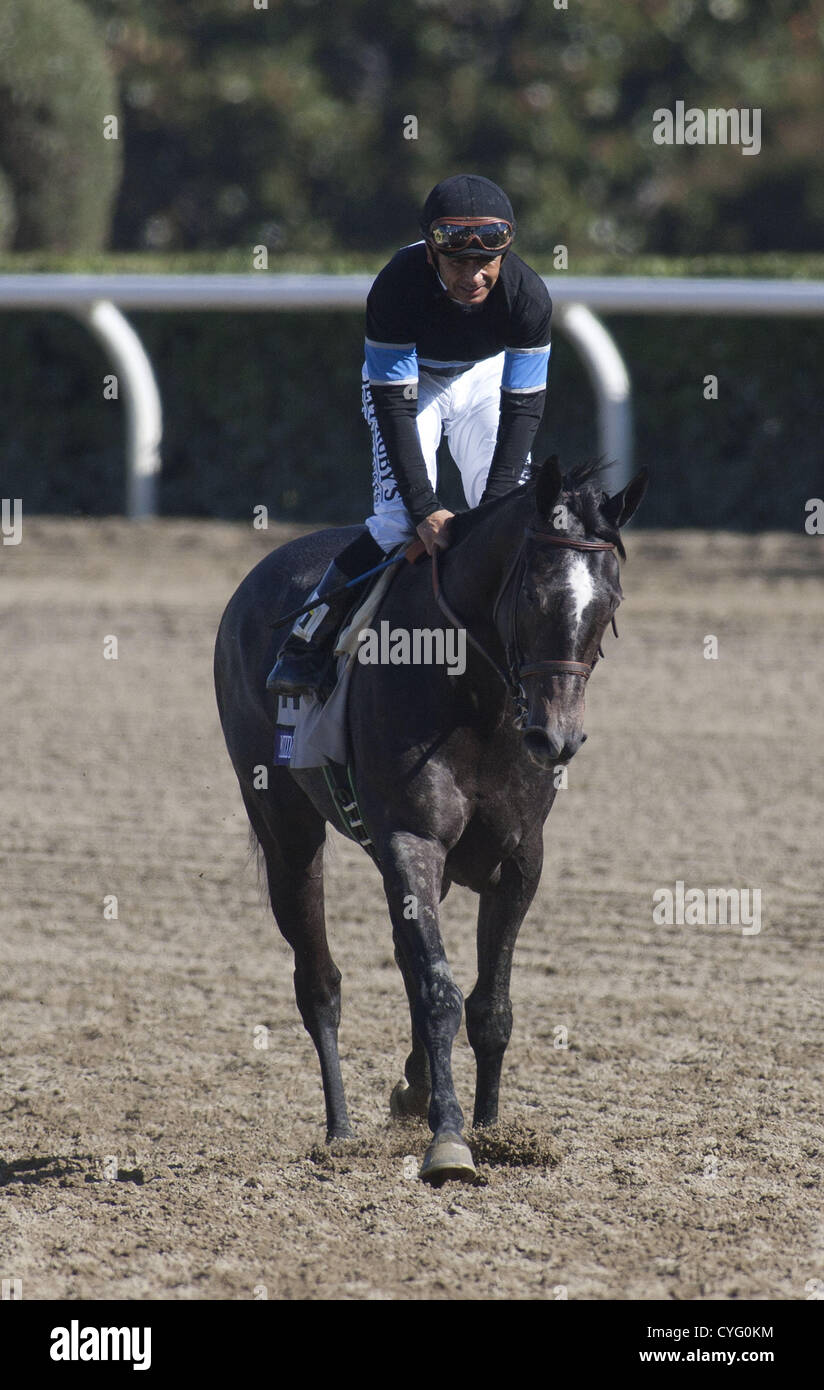 3. November 2012 gewinnt - Arcadia, Kalifornien, USA - Mike Smith am Mizdirection bei der Breeders' Cup Turt Sprint im Santa Anita Park am 3. November 2012 in Arcadia, Kalifornien... ARMANDO ARORIZO/PI (Kredit-Bild: © Armando Arorizo/Pi/Prensa Internacional/ZUMAPRESS.com) Stockfoto