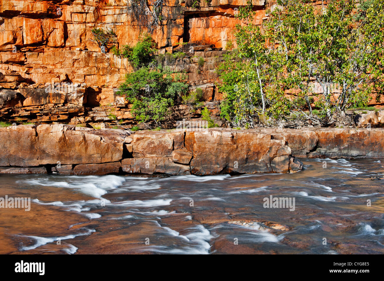 Goldene Reflexionen auf dem Barnett River in der fantastischen Kimberley. Stockfoto