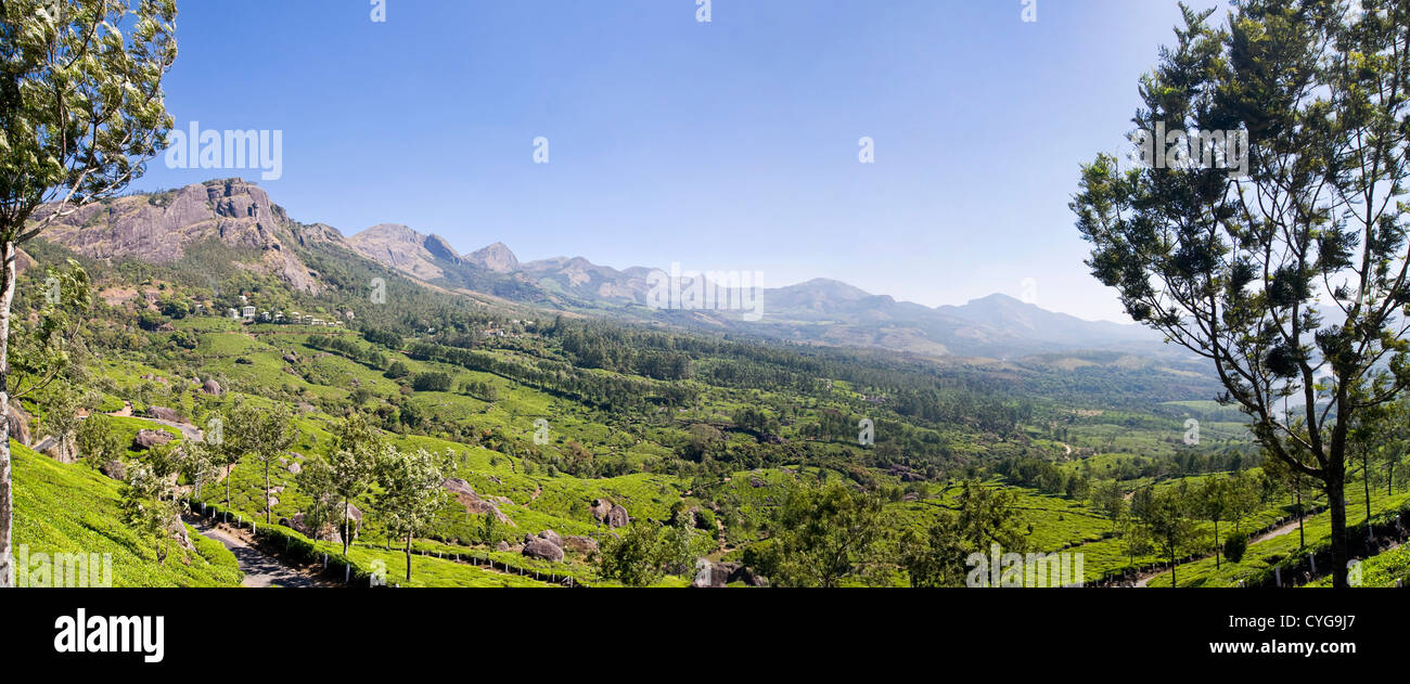 Horizontale (2 Bild Heftung) Panoramablick auf die atemberaubende Landschaft der Tee-Plantage in den Bergen von Idukki Bezirk, Indien Stockfoto