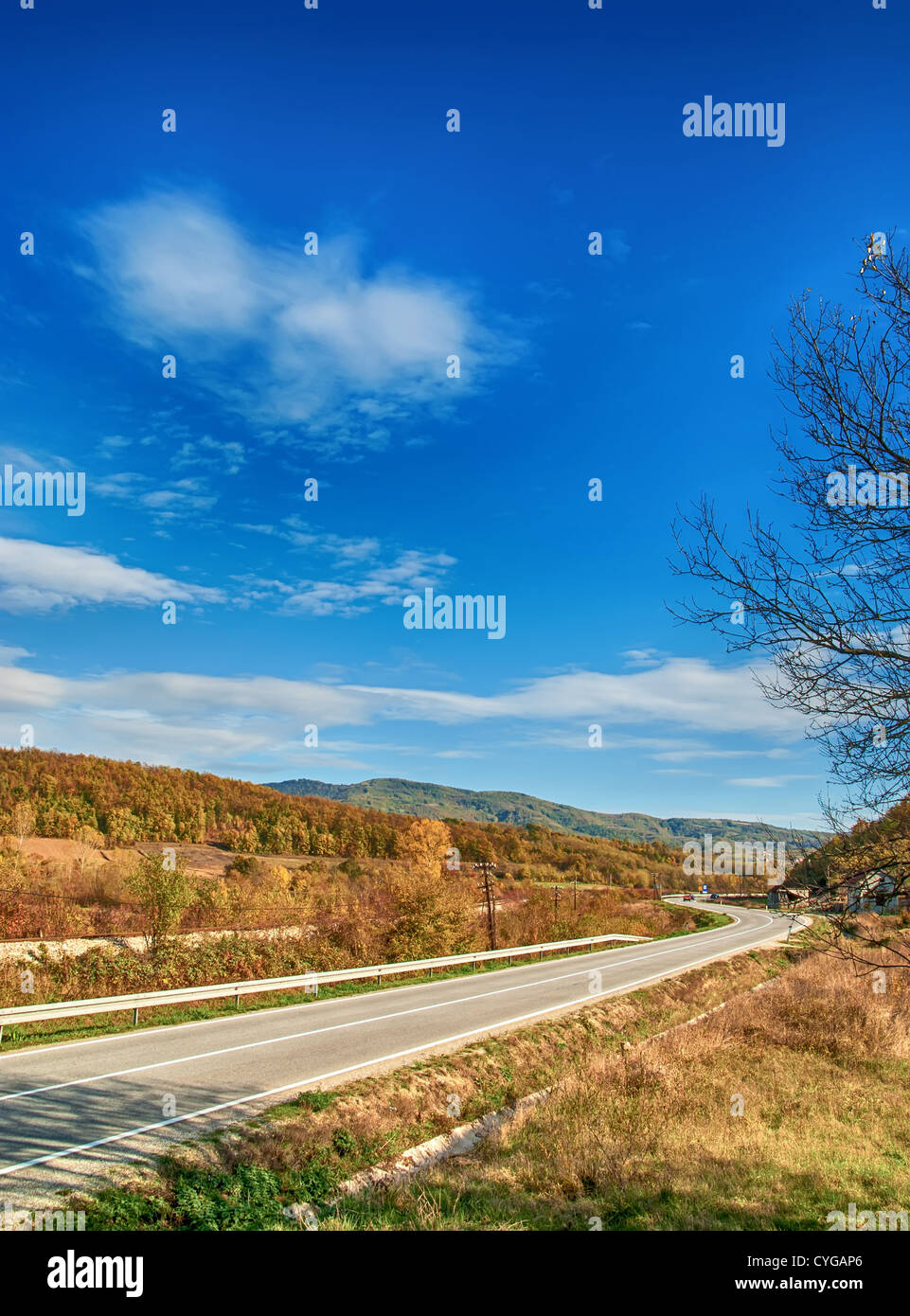 Leere gekrümmte Straße, blauer Himmel und Sonne. Stockfoto