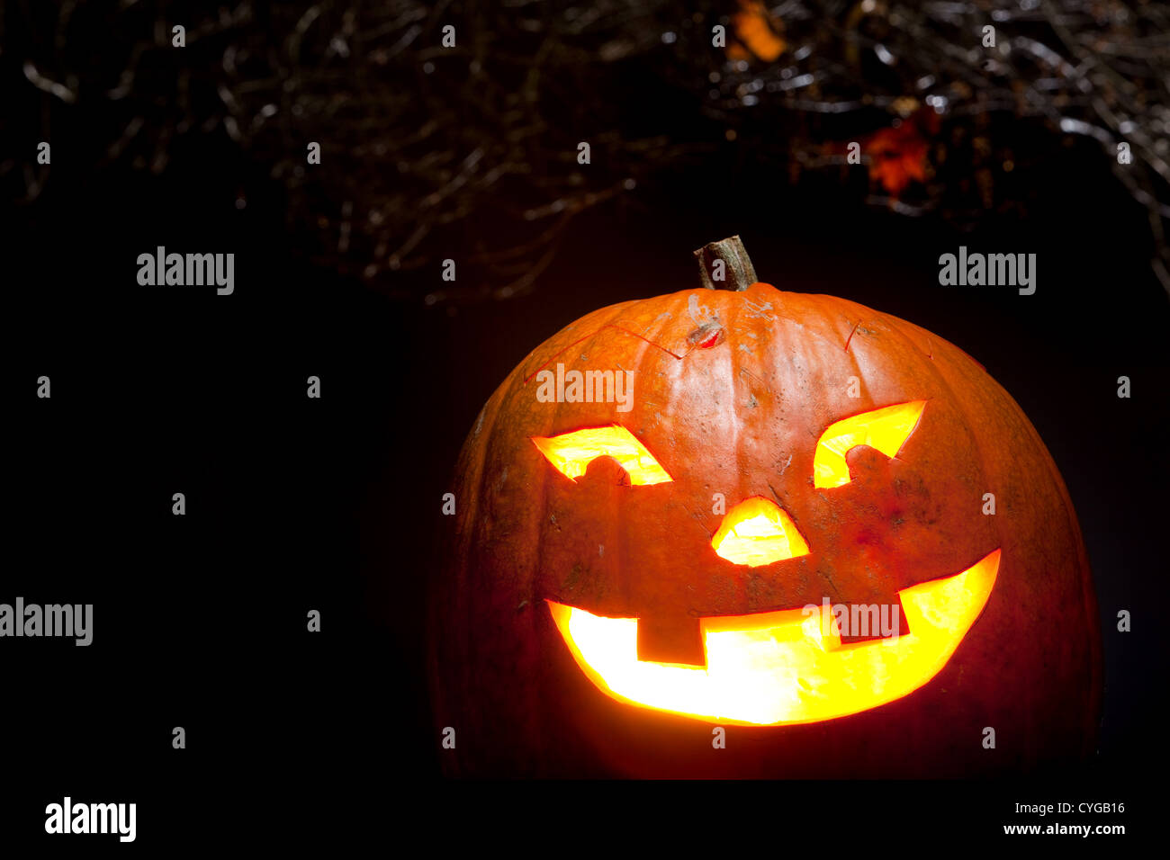 Halloween-Kürbis Stockfoto