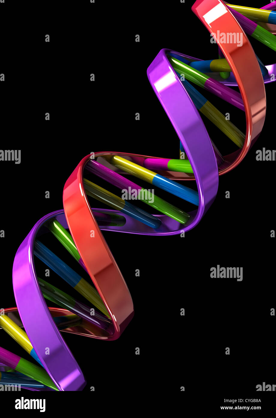 DNA-Doppelhelix-Modell auf schwarzem Hintergrund - 3D Rendern - Konzept Bild Stockfoto