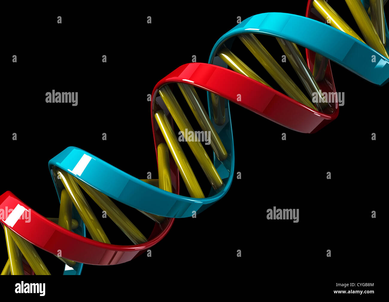 DNA-Doppelhelix-Modell auf schwarzem Hintergrund - 3D Rendern - Konzept Bild Stockfoto