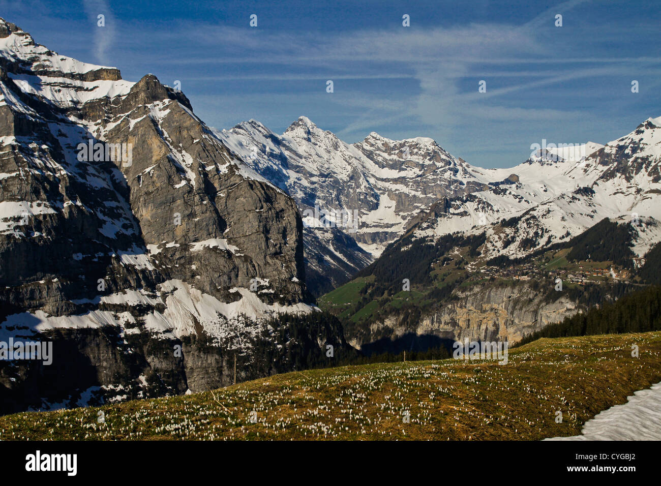 Berner Oberland, Schweiz Stockfoto