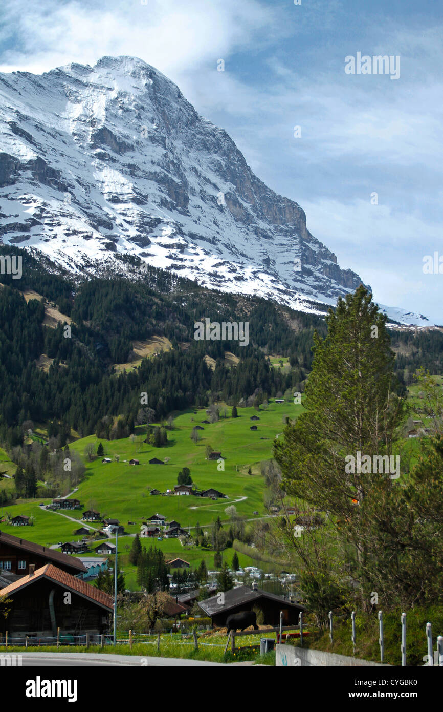 Tal von Grindelwald, Schweiz Stockfoto