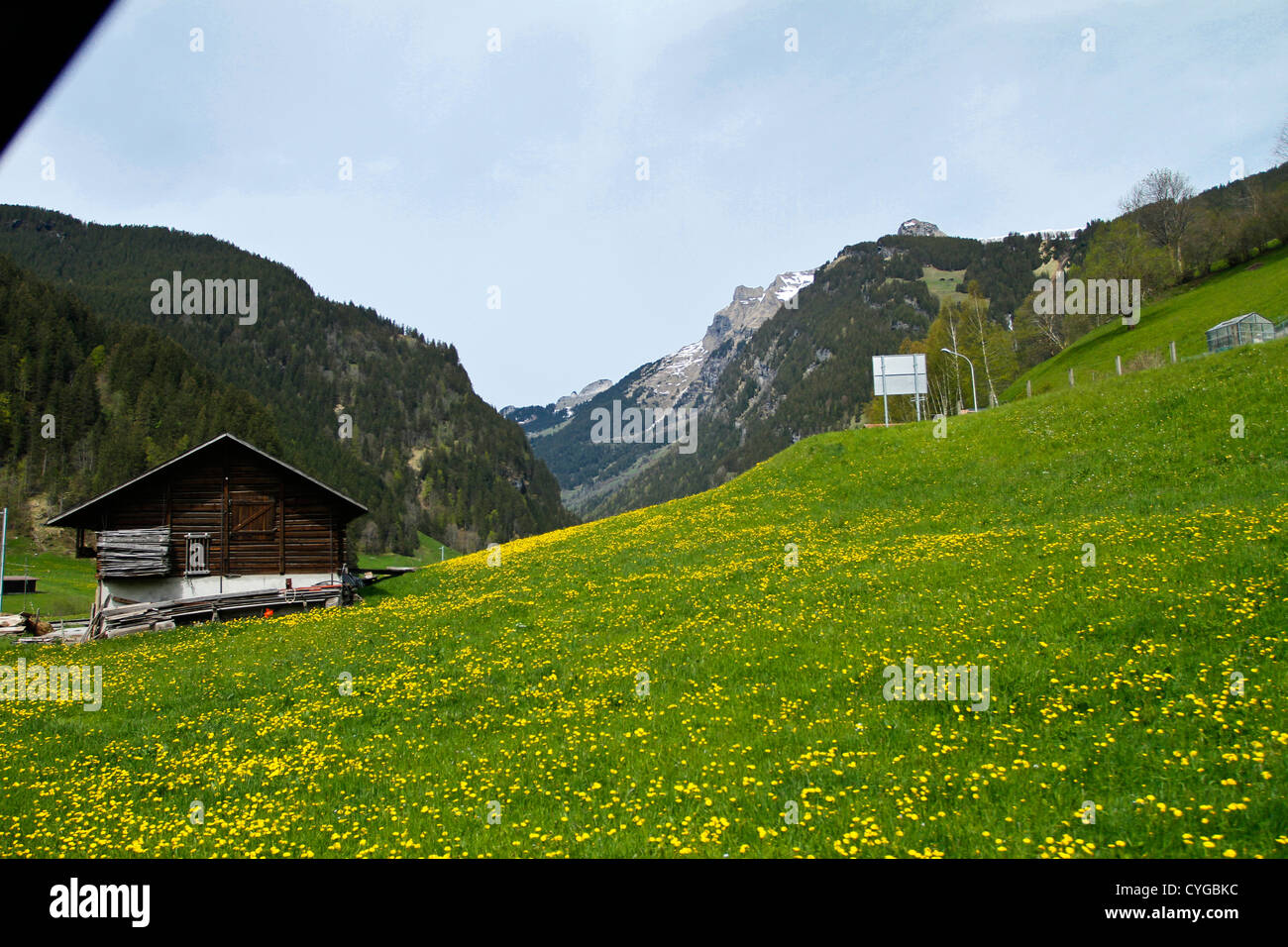 Tal von Grindelwald, Schweiz Stockfoto
