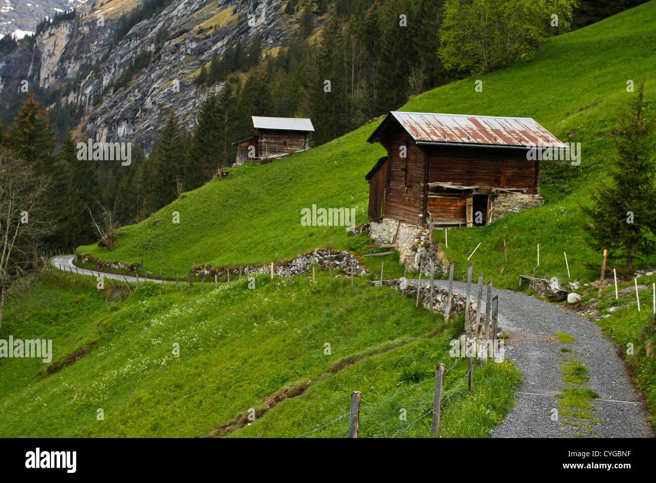 Scheunen auf einem grasbewachsenen Hang. Gimmelwald, Schweiz Stockfoto