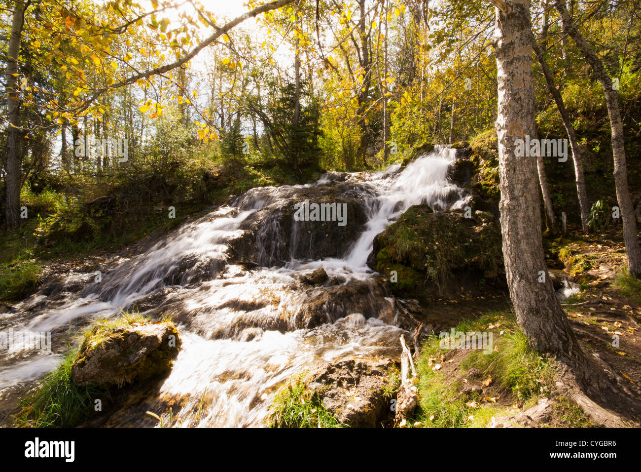 Wasser Herbst, Herbst, Unschärfe, awesome, natürliche Dichte Stockfoto