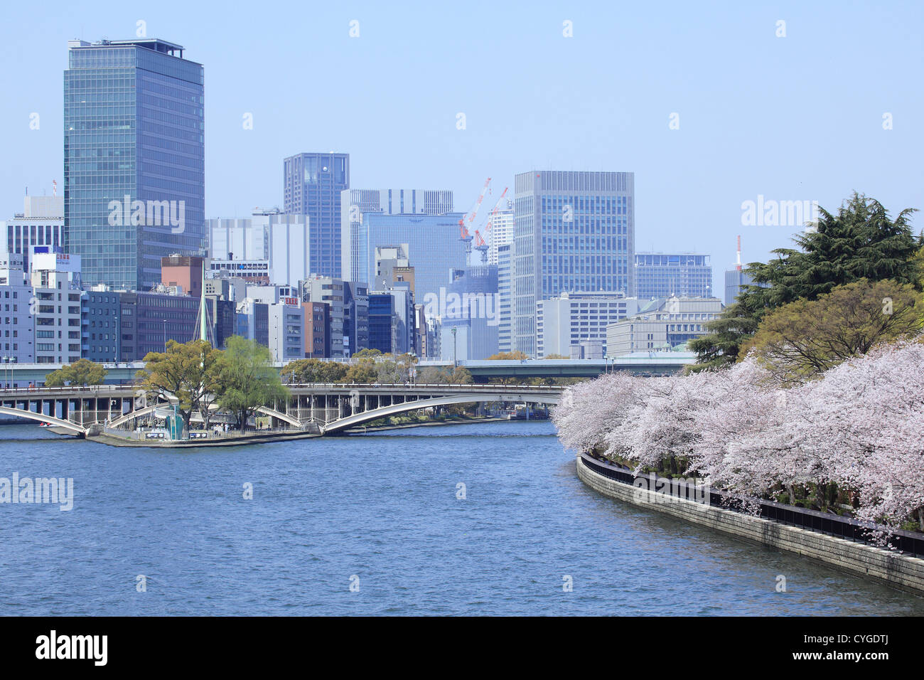 Kirschblüten und die Tenjin-Brücke am Fluss Okawa, Osaka Stockfoto