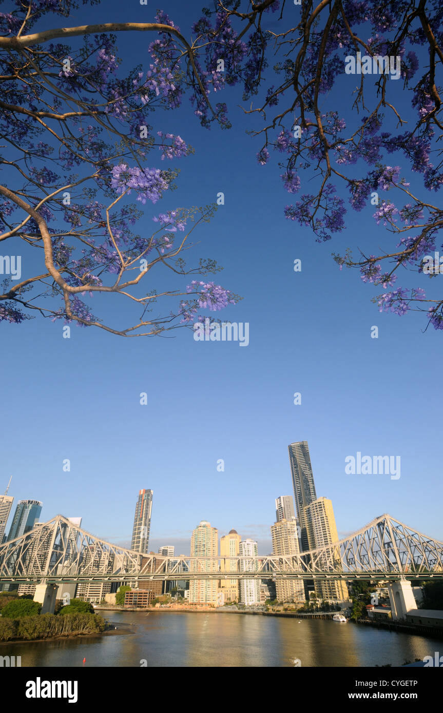 Ansicht der Story Bridge und Brisbane River und CBD mit blühenden Jacarandas im Frühjahr, Queensland, Australien. Keine PR Stockfoto