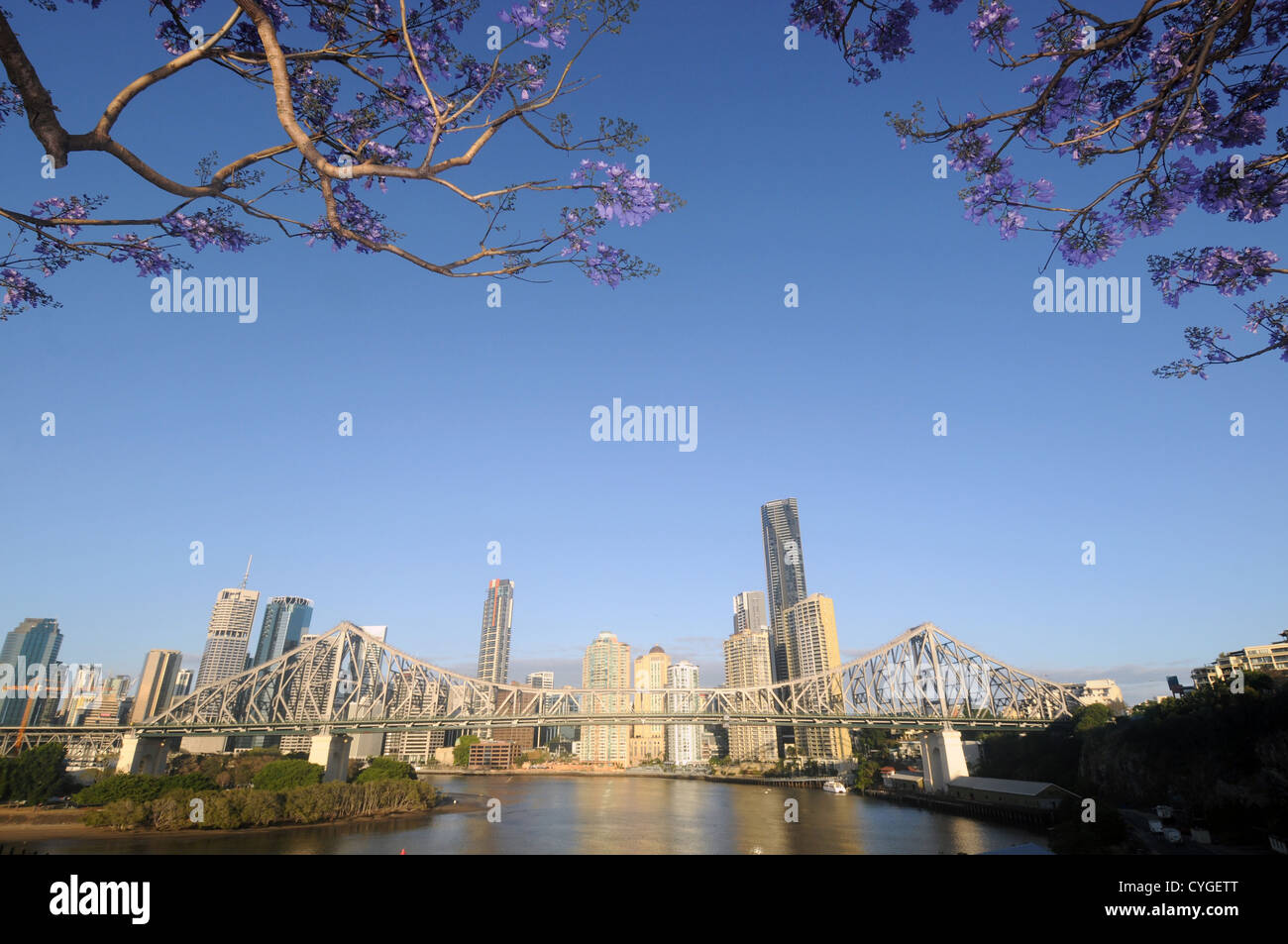 Ansicht der Story Bridge und Brisbane River und CBD mit blühenden Jacarandas im Frühjahr, Queensland, Australien. Keine PR Stockfoto