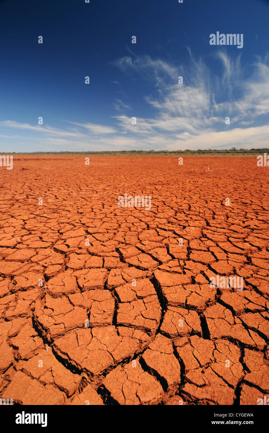 Geknackt Schlamm auf trockenen Seebett Rowles Lagune, Credo-Station, Western Australia Stockfoto