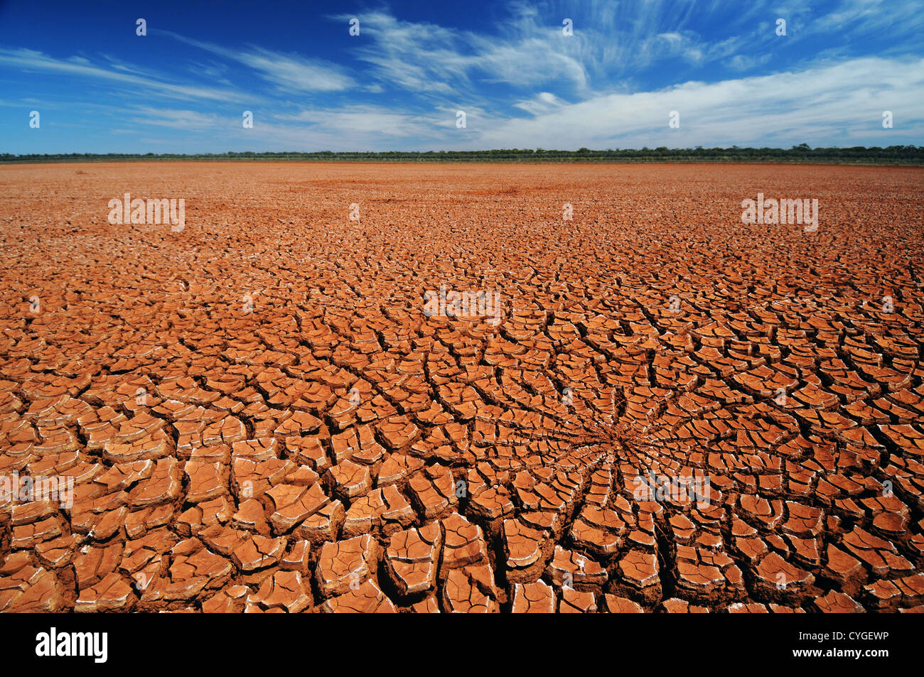 Geknackt Schlamm auf trockenen Seebett Rowles Lagune, Credo-Station, Western Australia Stockfoto