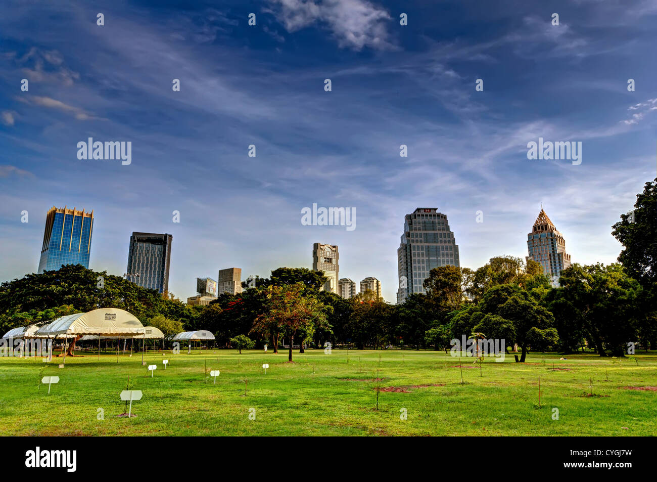Natürliche & konkrete Wald | Lumpini Park | Bangkok-einzigartiger Blick auf die moderne Skyline von Bangkok "Central Park". Stockfoto