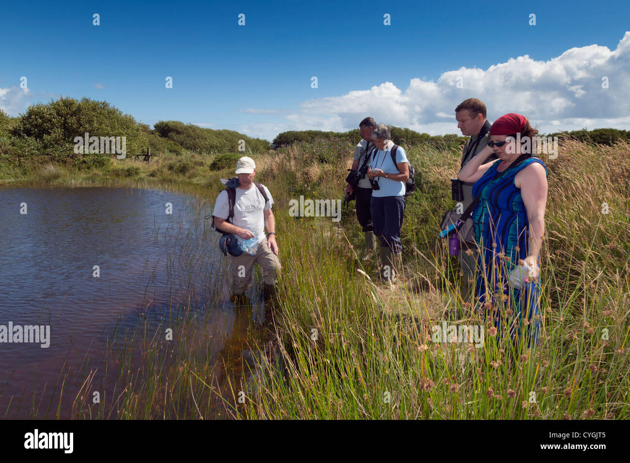 Steve Jones; Windmill Farm; Wildlife Trust Reserve; Cornwall; UK Stockfoto