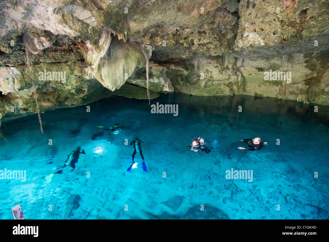 Taucher, die Vorbereitung für den Abstieg, Cenote, Tulum, Mexiko Stockfoto