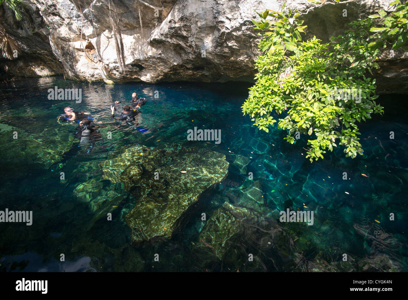 Taucher, die Vorbereitung für den Abstieg, Cenote, Tulum, Mexiko Stockfoto