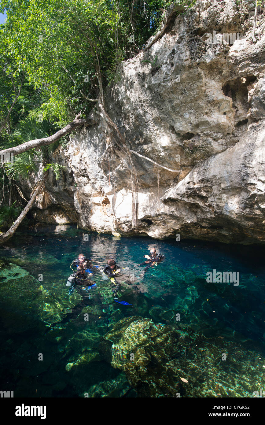 Taucher, die Vorbereitung für den Abstieg, Cenote, Tulum, Mexiko Stockfoto