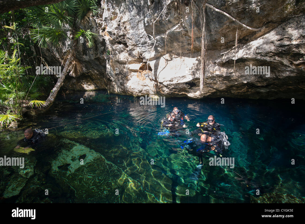 Taucher, die Vorbereitung für den Abstieg, Cenote, Tulum, Mexiko Stockfoto