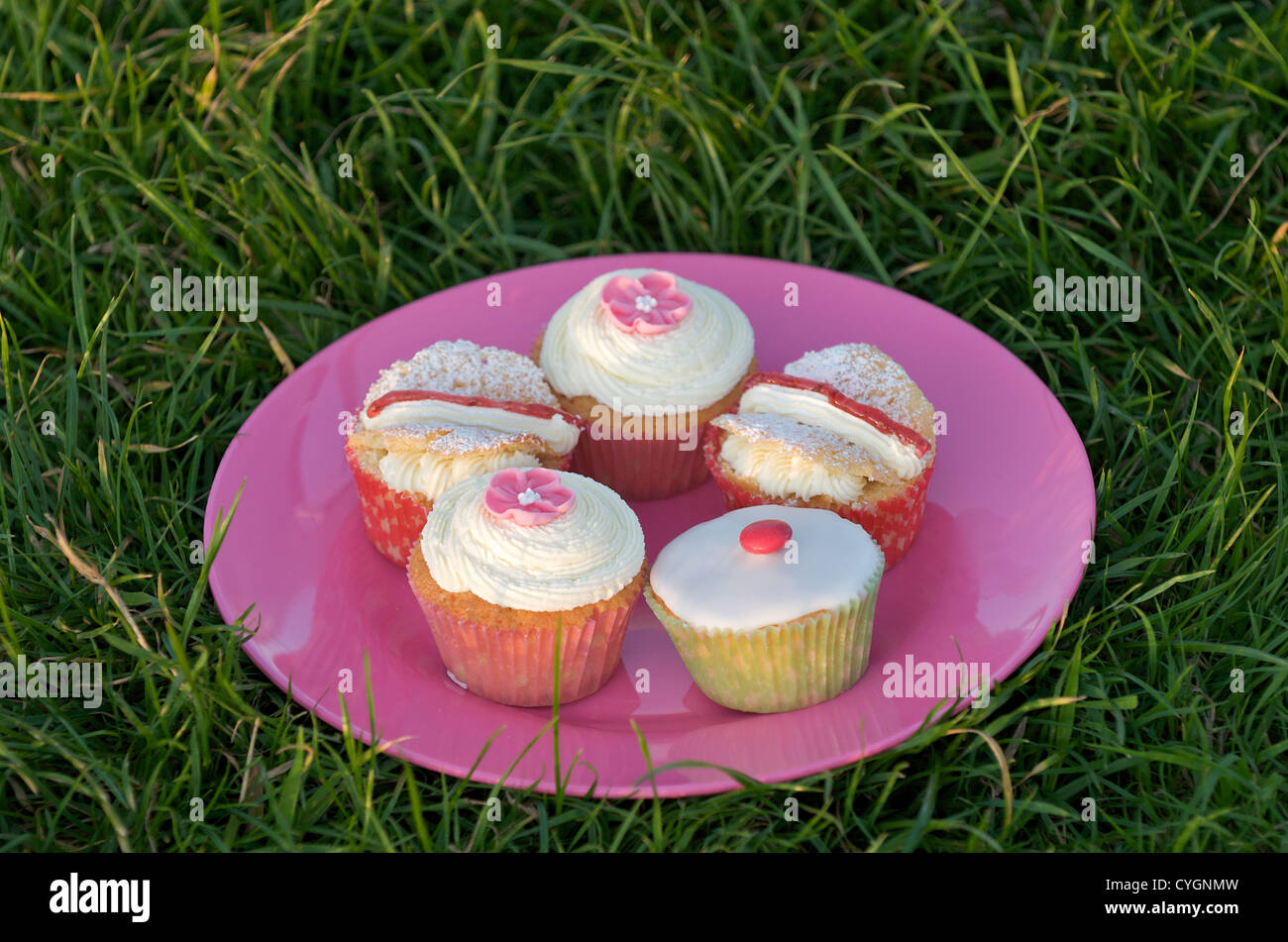 Teller mit cupcakes Stockfoto