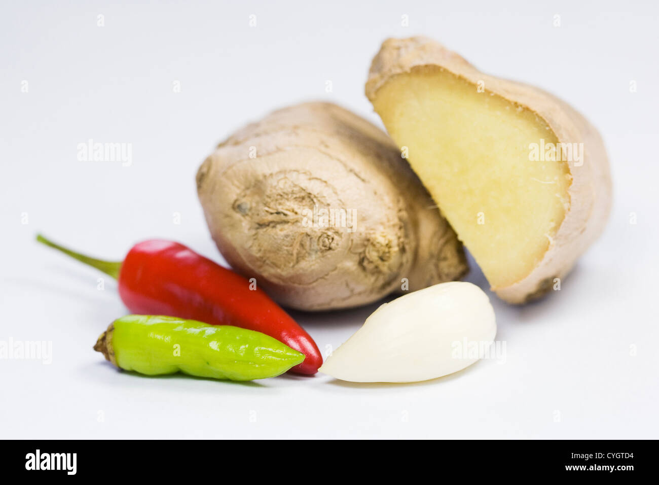 Eine Auswahl an frischen kulinarischen Gewürze vor einem weißen Hintergrund. Stockfoto