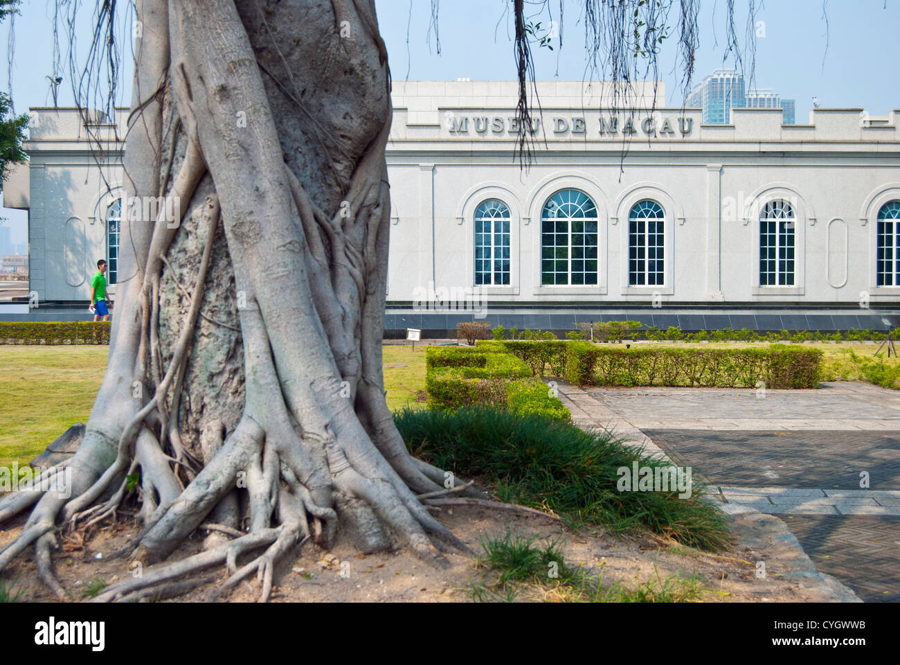 Macau Museum und Banyan Tree, Macau Stockfoto