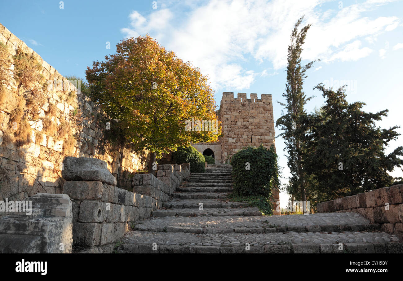 Kreuzfahrerburg Byblos, Libanon Stockfoto