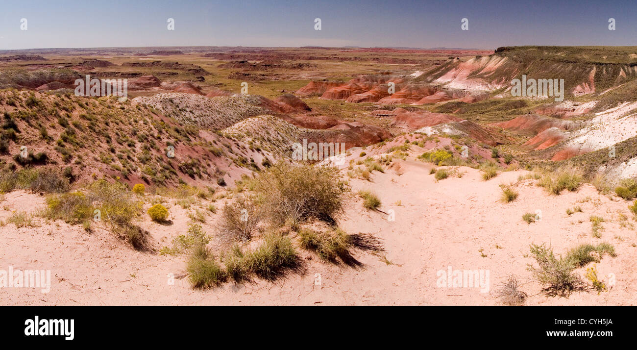 Ein Panoramablick auf die Painted Desert im Petrified Forest National Park in Arizona, USA. Stockfoto