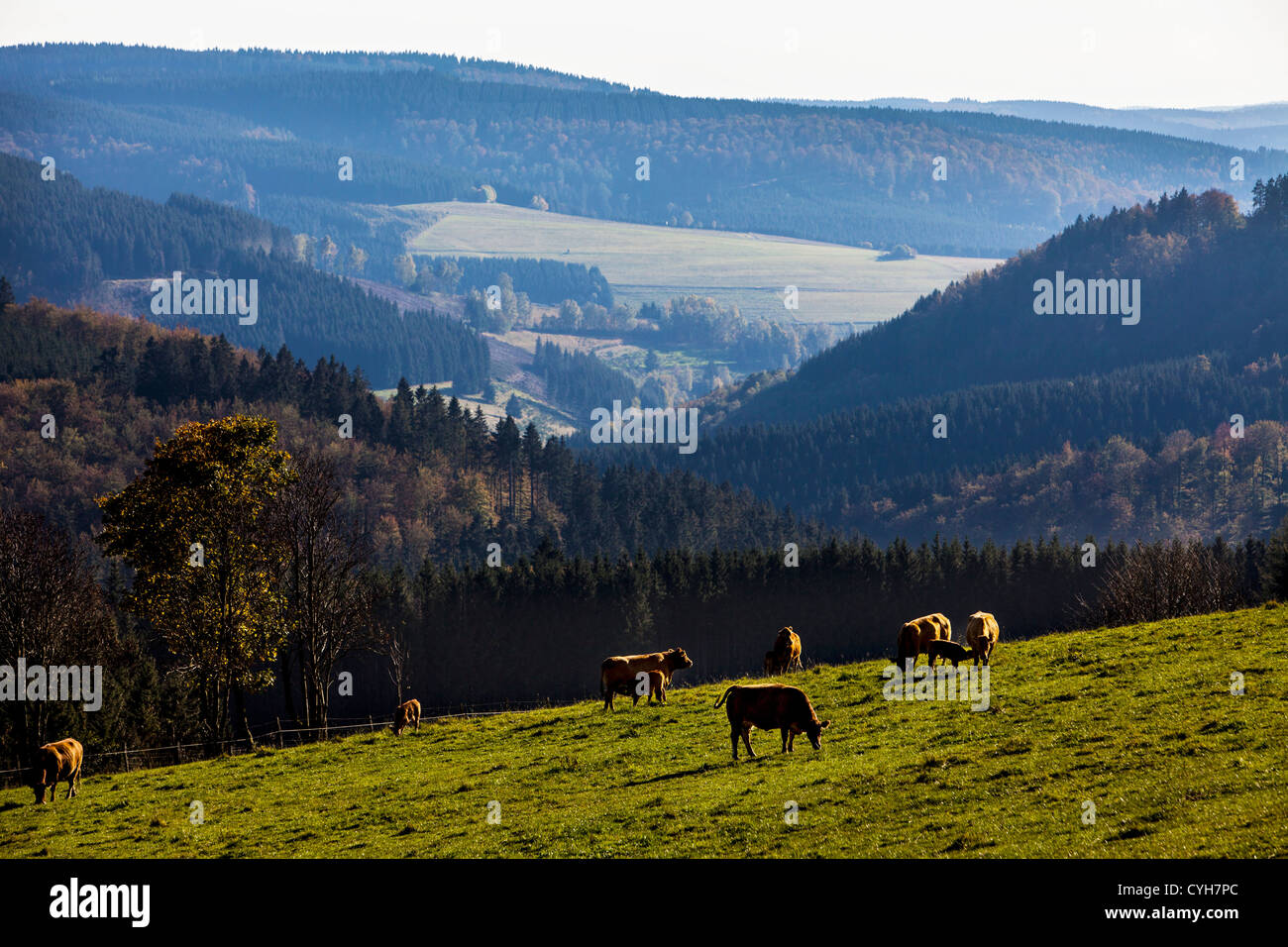 Mittelgebirge Landschaft Stockfotos und -bilder Kaufen - Alamy