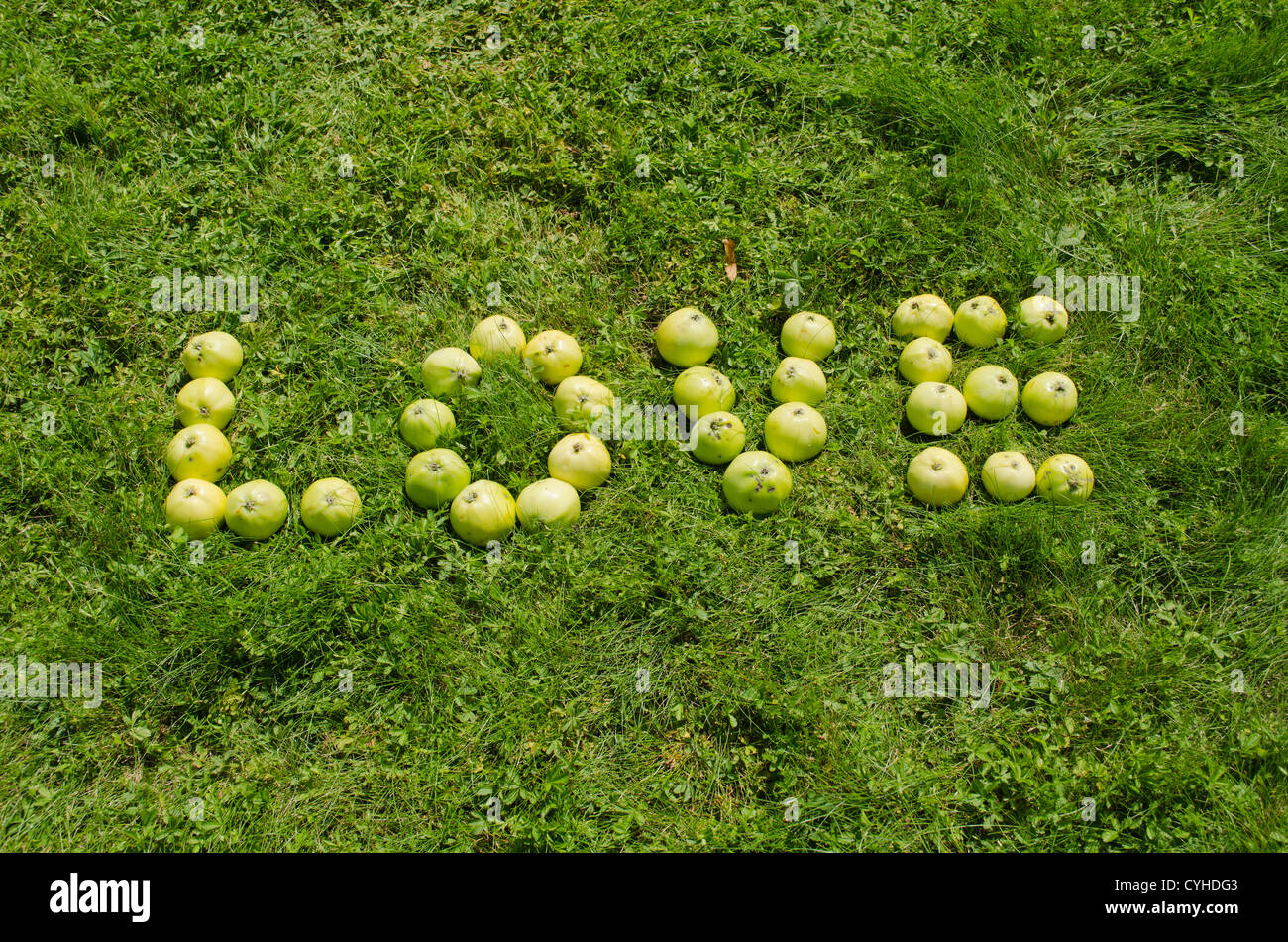 Das Wort Liebe grünen Apfels auf Wiese im Garten gemacht. Stockfoto