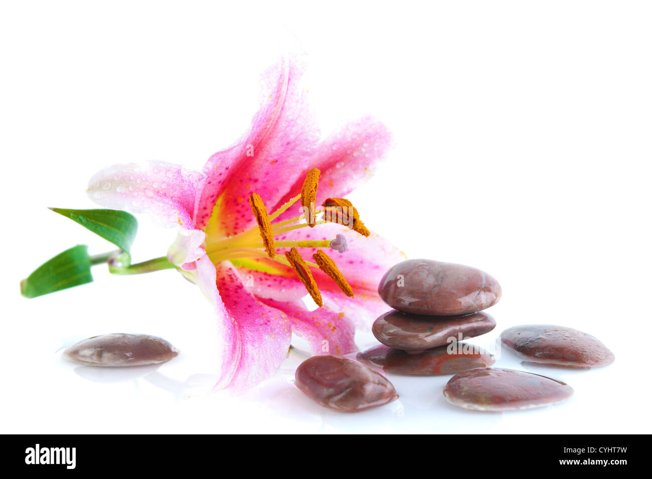 Rosa Lilie und Steinen, mit Wasserreflexion Stockfoto