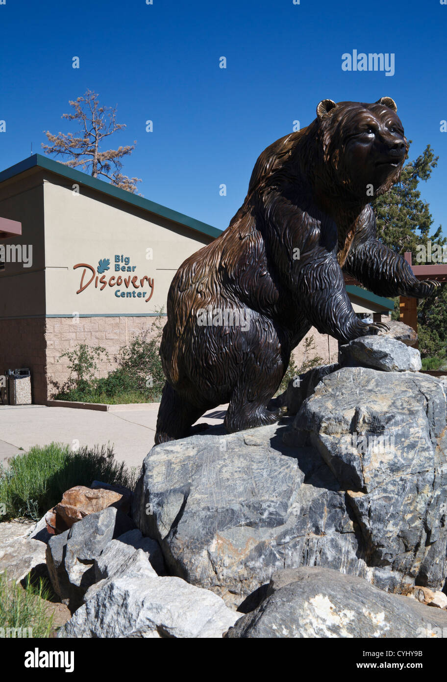 Grizzly Bear Skulptur auf dem Big Bear Discovery Center in Big Bear Lake, Kalifornien Stockfoto