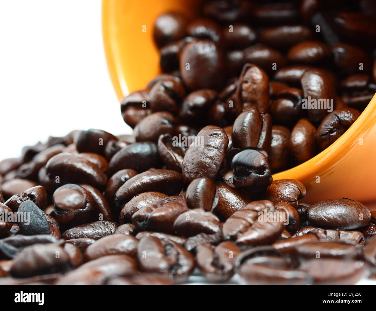 Kaffeebohnen In einem Becher aus reinen frisch Röstkaffee gebrühten Stockfoto