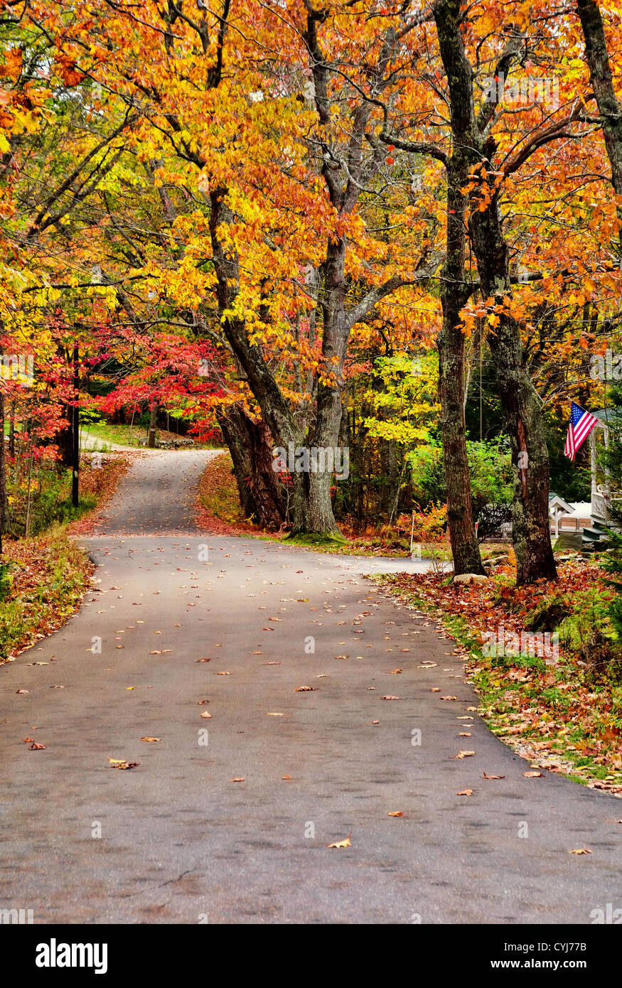 Kurvenreiche Landstraße im Herbst Stockfoto