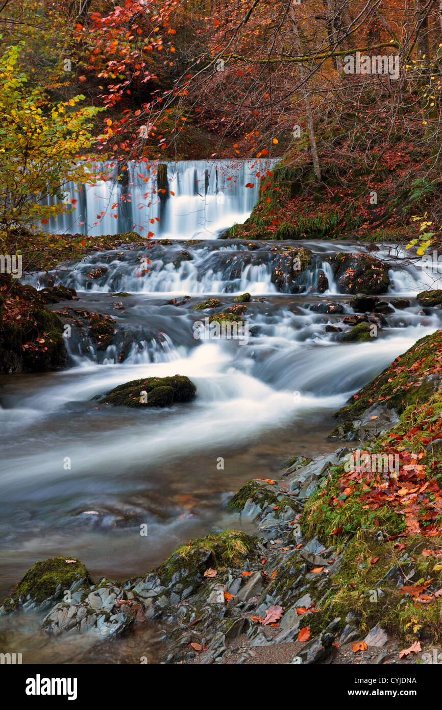 Stockghyll Kraft-Wasserfall in der Nähe von Ambleside im Lake district Stockfoto