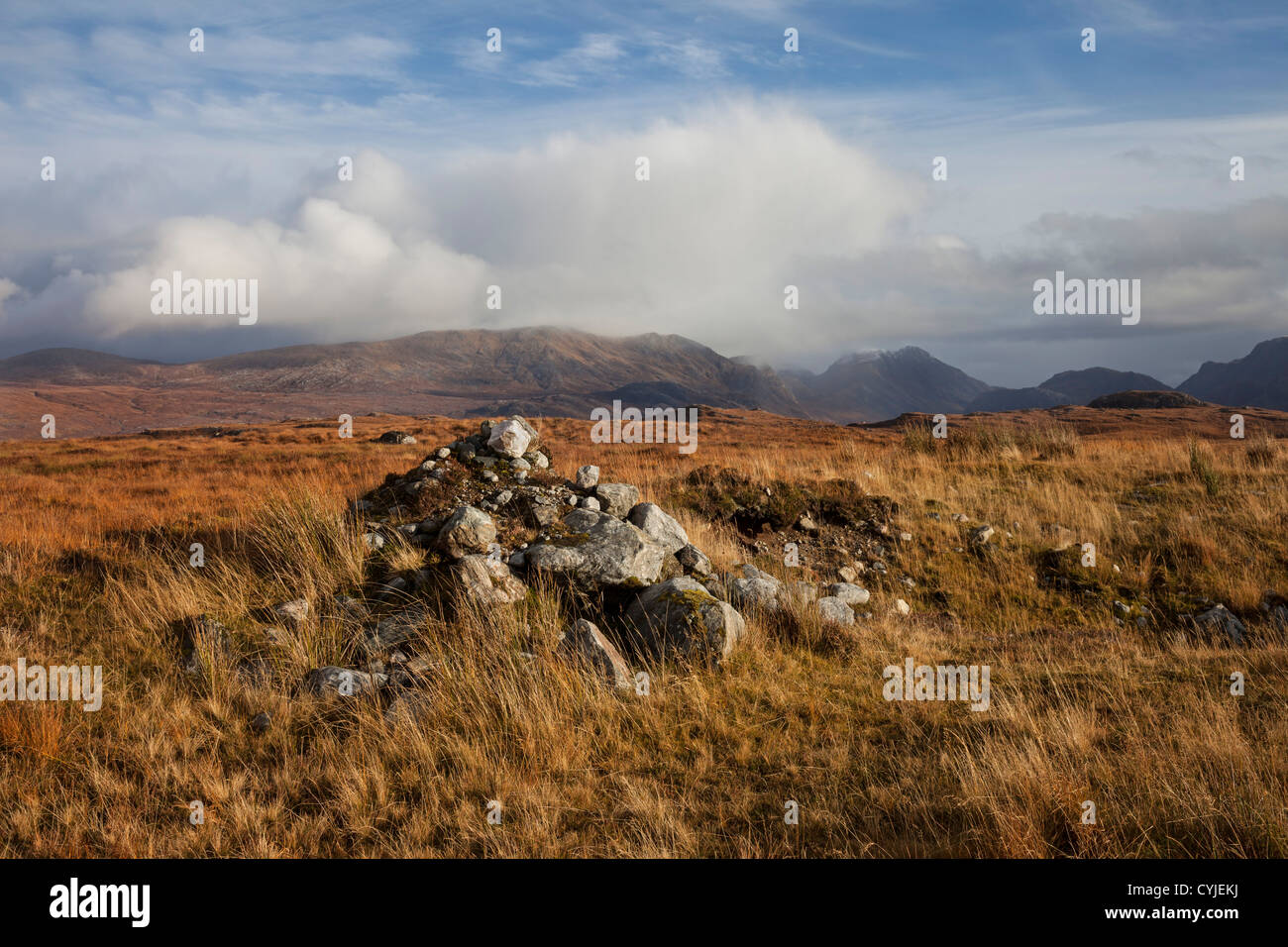 Die Letterewe Wald Berge (Carn Mor und A Mhaighdean etc.) aus dem Kernsary Wald, Fionn Loch Track NW Schottland Stockfoto