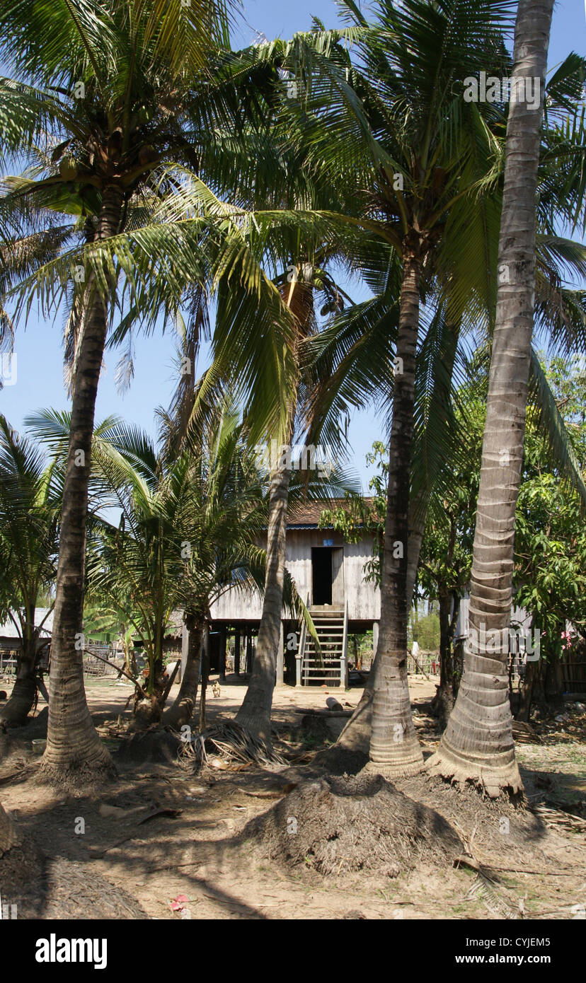 Kambodscha, Siem Reap Provinz Stockfoto