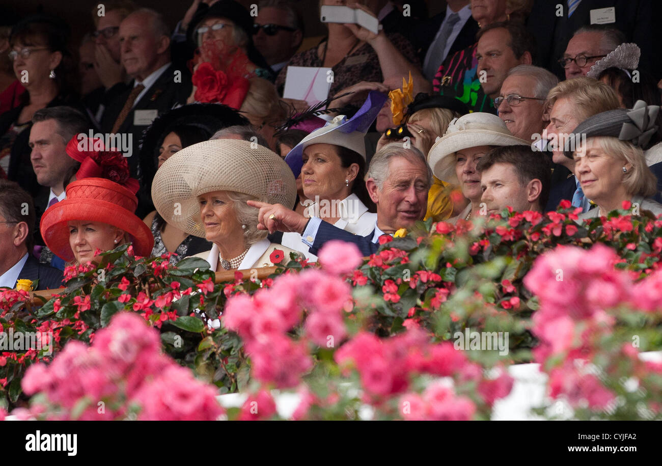 Der Prince Of Wales und Herzogin von Cornwall Teilnahme an der Melbourne Cup, Australien am 6. November 2012. Stockfoto