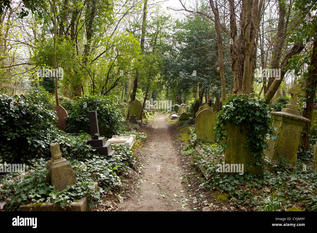 Gräber in Highgate Cemetery in London, England, Vereinigtes Königreich, Europa Stockfoto