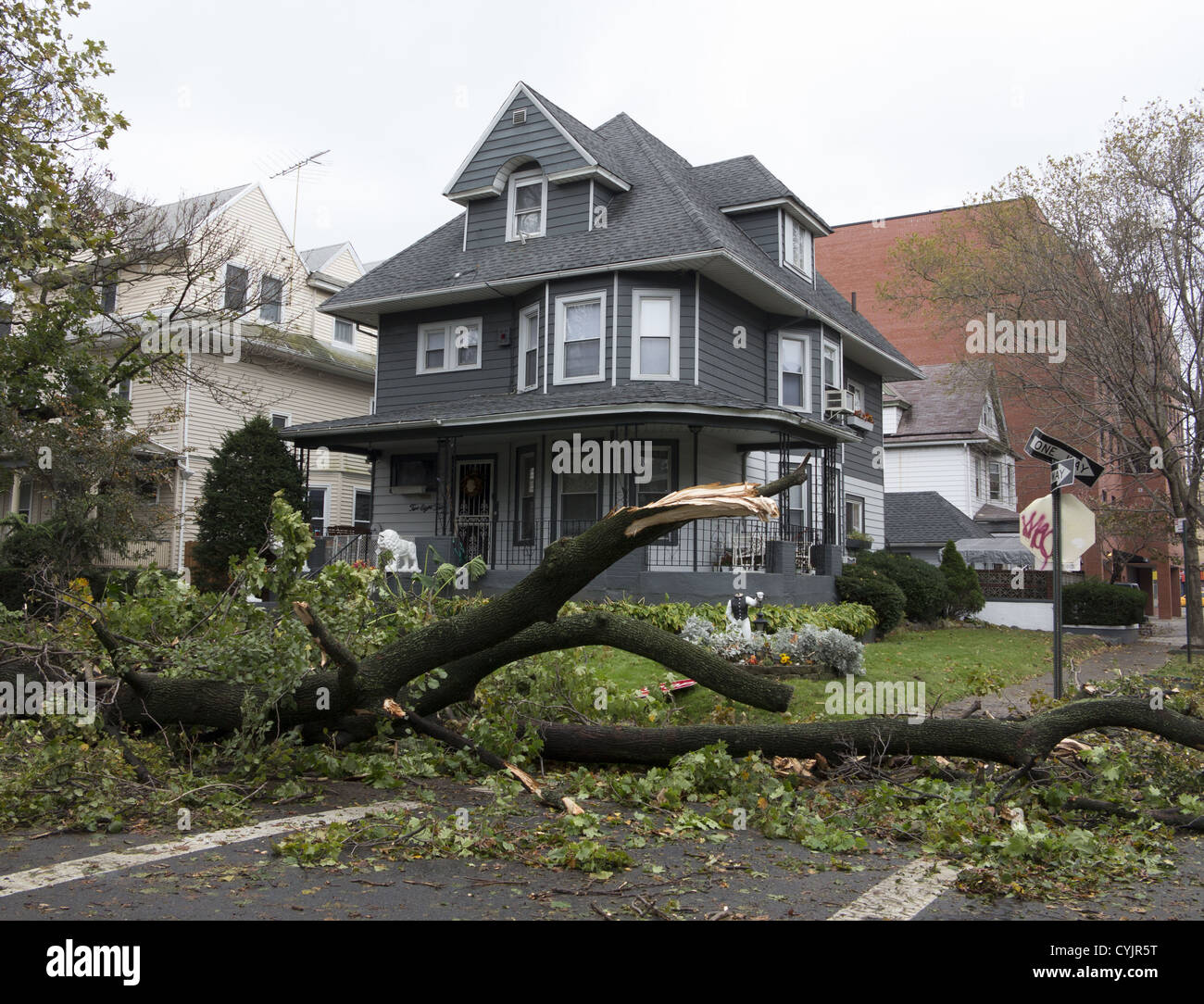 Die Nachmahd des Hurrikans Sandy sehen überall in NYC wie bei dieser abgestürzten Baum im Abschnitt Ditmas Park von Brooklyn. Stockfoto